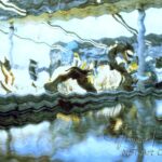 _DSC0957 NFT Attisholz 4_print