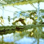 _DSC0957 NFT Attisholz 5_print